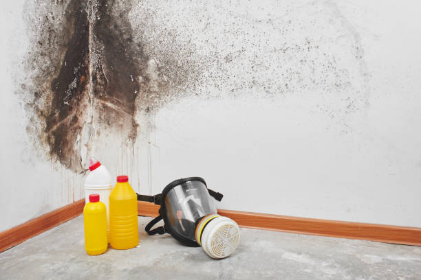 Fire Damage Restoration in Lechee, AZ